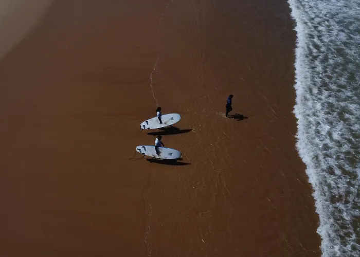 - Movement & Nature House Санта-Круш